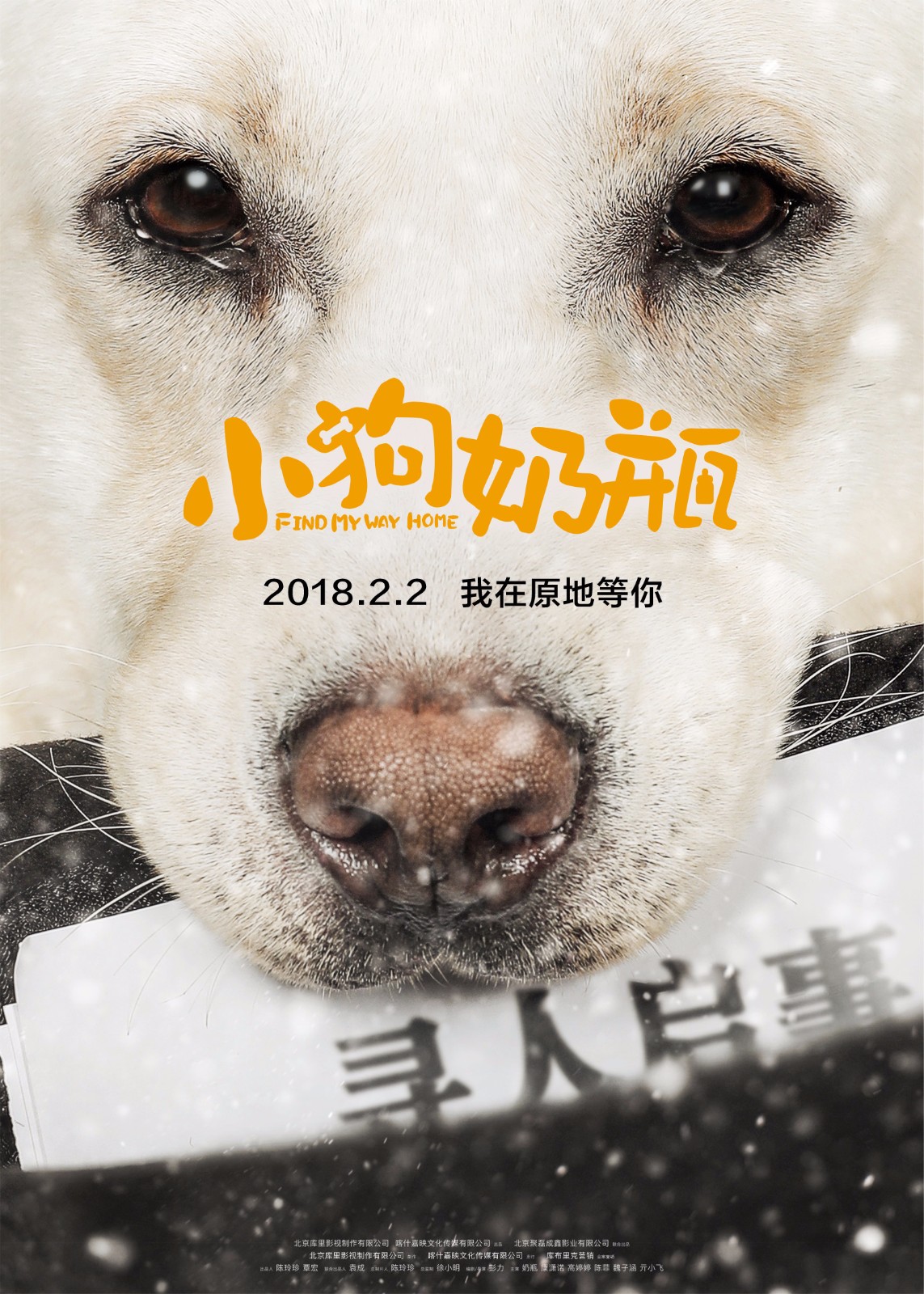 《小狗奶瓶》尋人啟事版海報(bào).jpg
